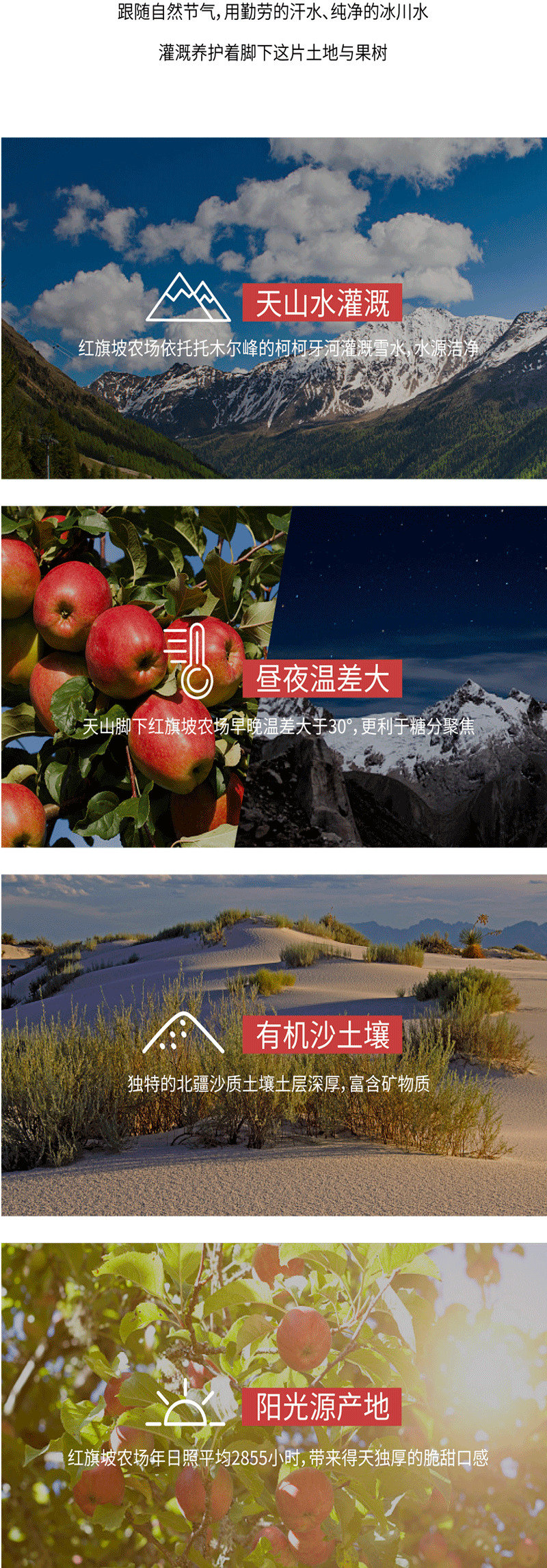冻干红枣 (4).gif